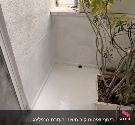 אזור מרוצף עם איטום חדש ליד עציץ